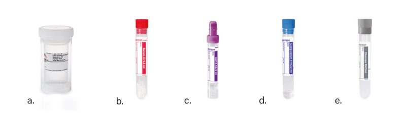 sitoloji-img sitoloji-img